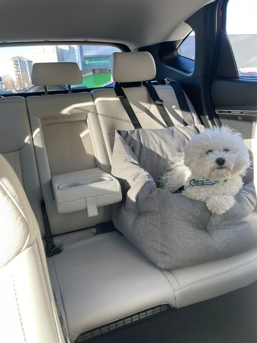 Автогамак - на заднє та переднє сидіння