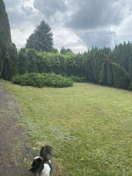 Sprzedam działkę "RODO Ustronie" Świętochłowice