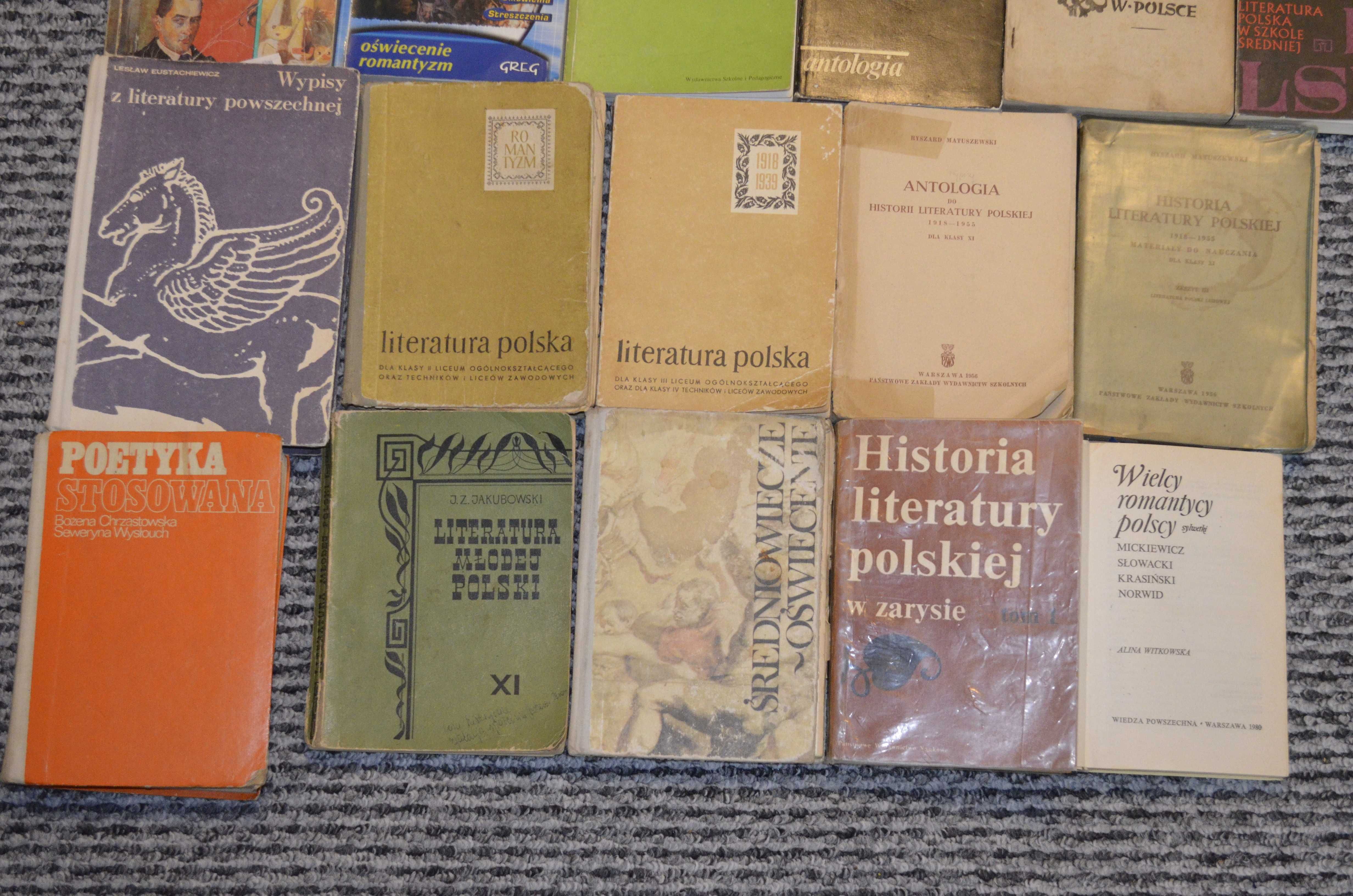 Książki podręczniki do nauki lub nauczania języka polskiego