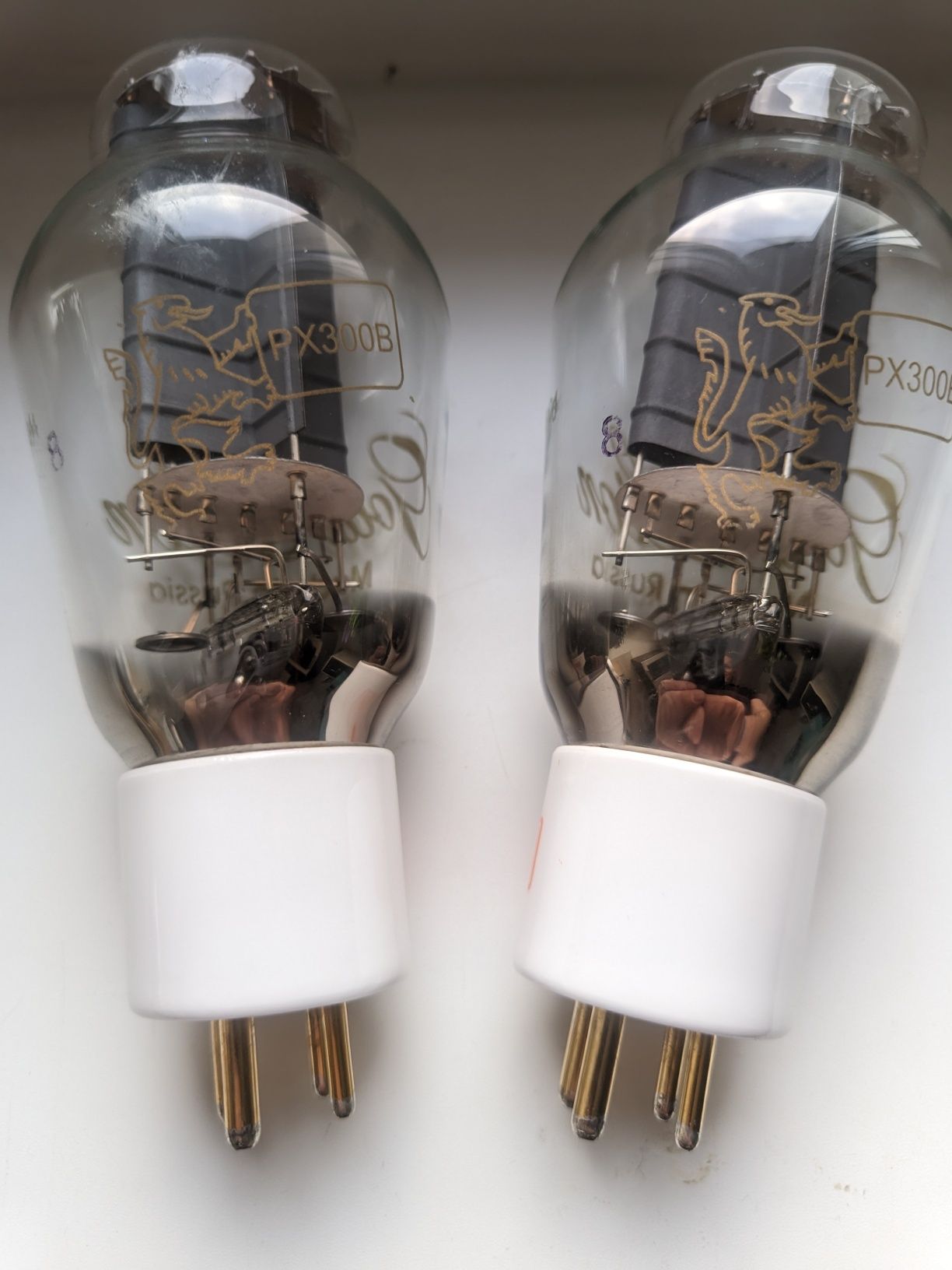 Lampy Genalec Gold Lion 300B