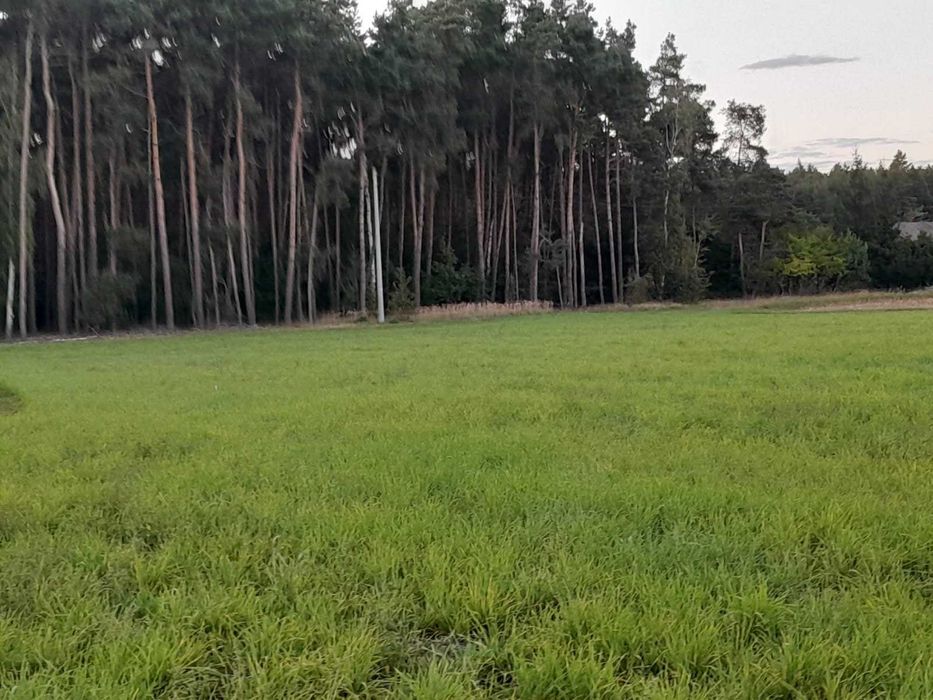 Działka budowlana