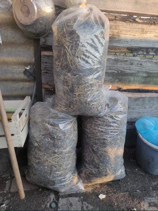 nawóz naturalny kurzak obornik