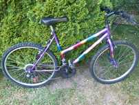 Rower górski Tecno Bike, Shimano, koło 26 cali