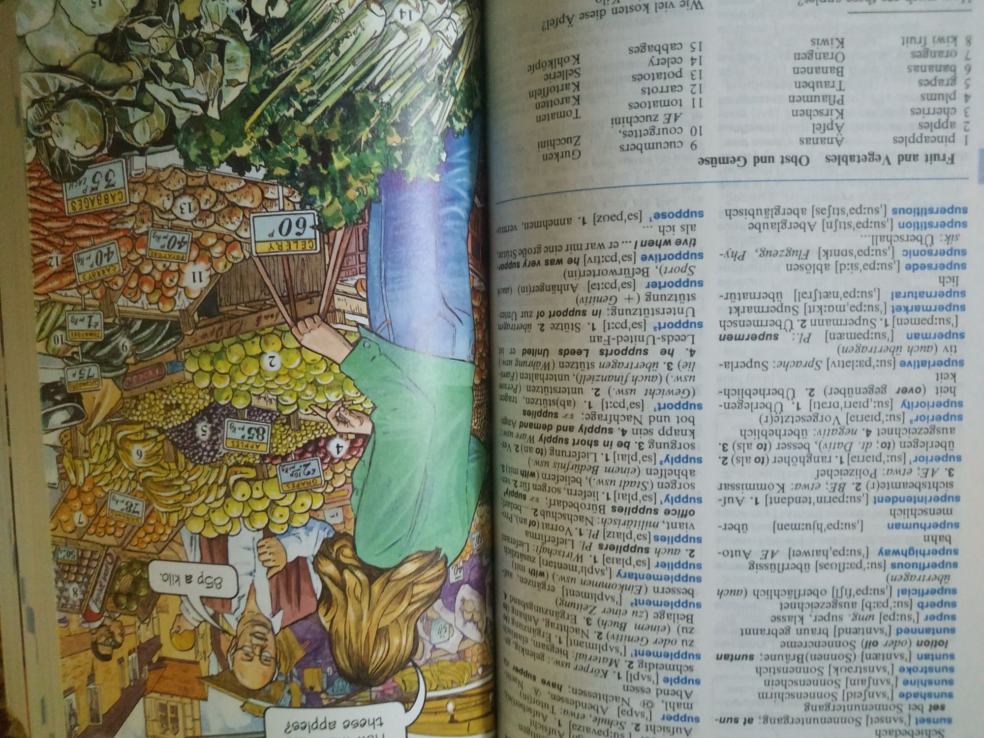 Langenscheidt's power dictionary English-deutsch deutsch-english
