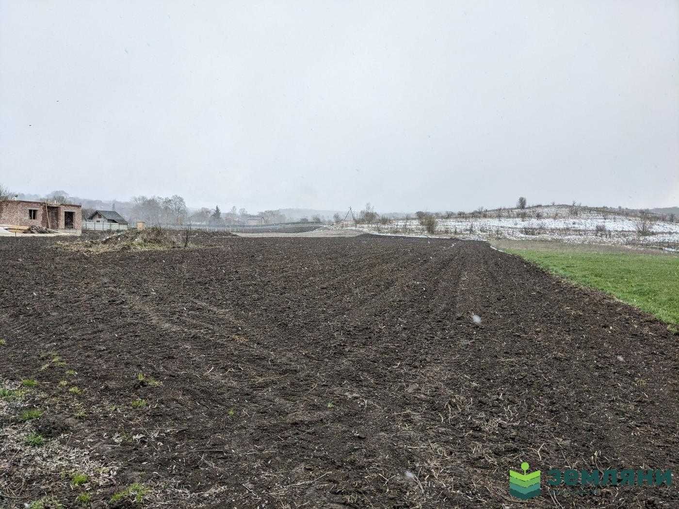 Продаж землі 32,87 сотки в с.Клубівці під забудову