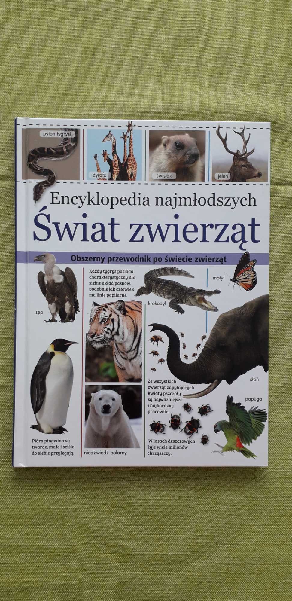 Encyklopedia najmłodszych, Świat zwierząt