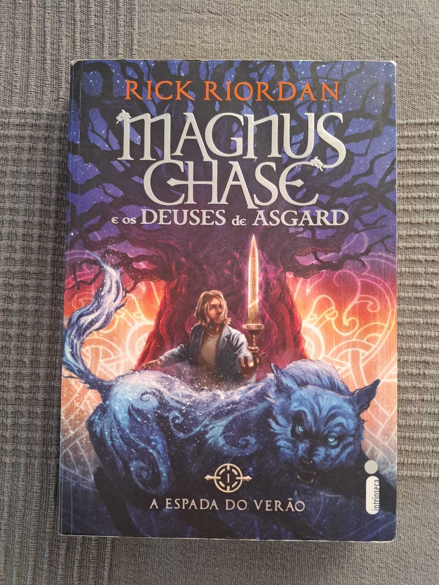 Magnus Chase 1o livro A Espada do Verão - Rick Riordan