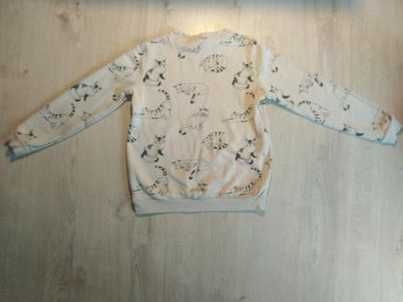 Bluza wzor w koty z firmy House