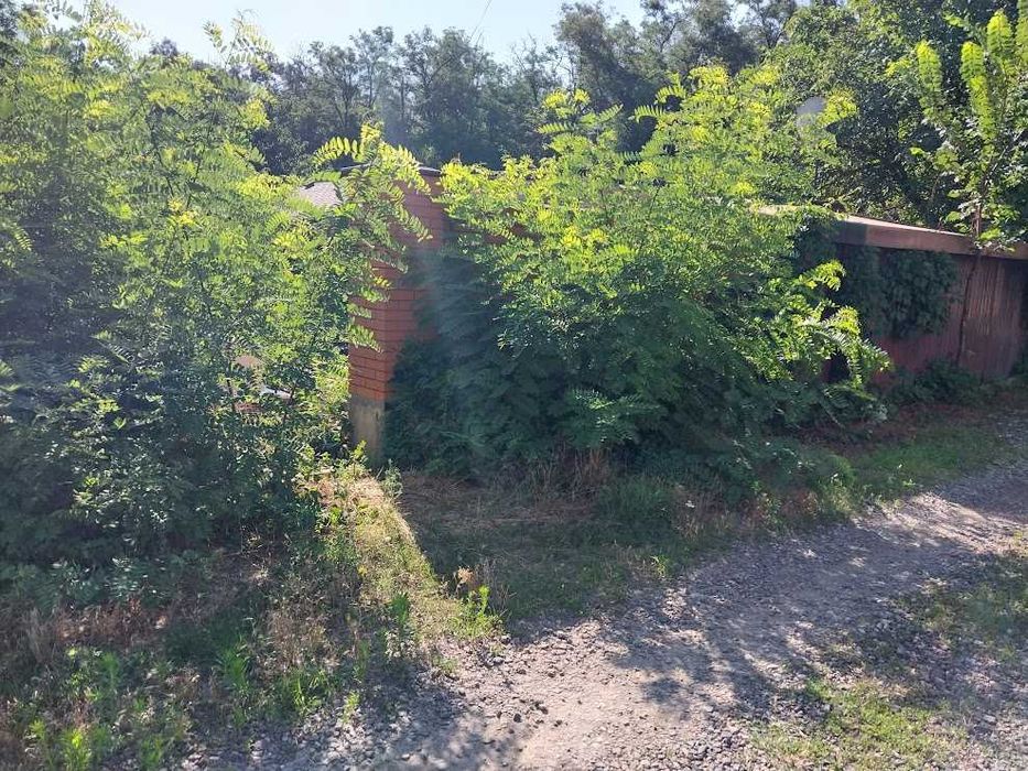 Комплексная уборка земельных и дачных участков любой сложности.