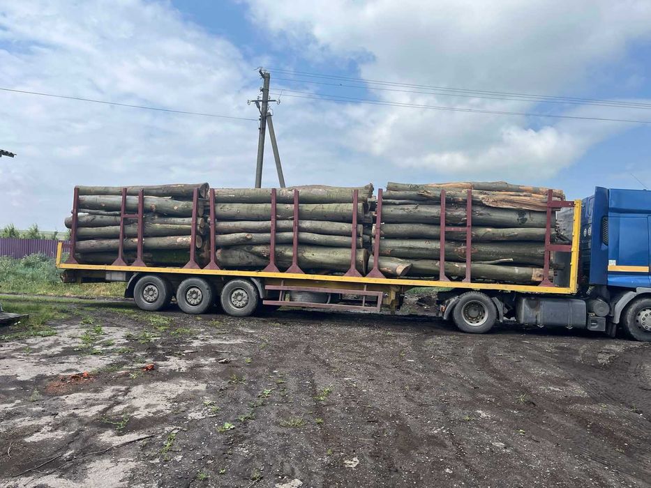 Дрова твердих порід! Дрогобич, Трускавець,Стебник, Борислав, Східниця