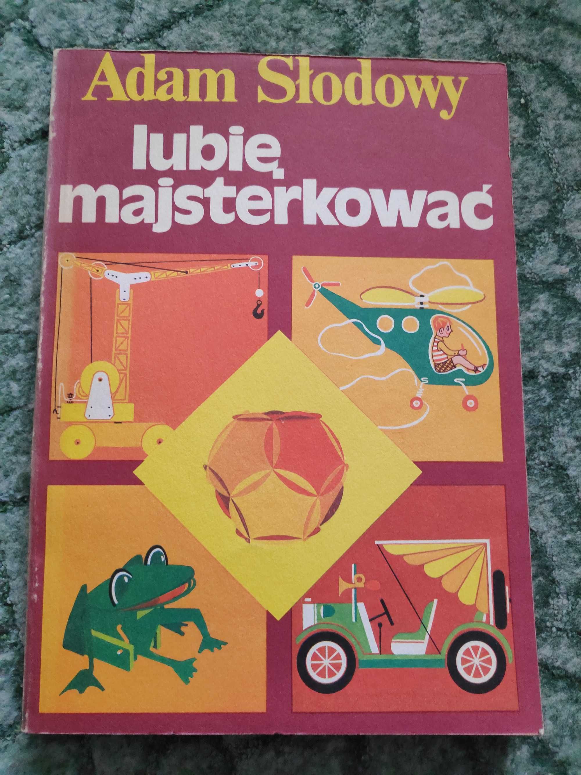 Lubię majsterkować Adam Słodowy