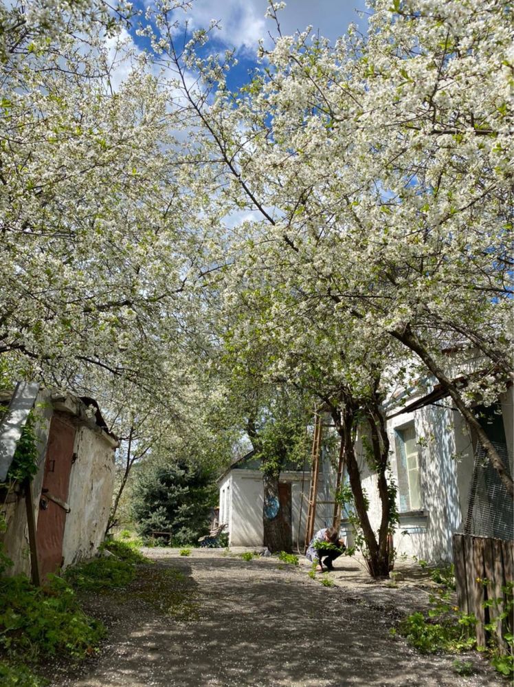 Продаж земельної ділянки на Київщині село Музичі