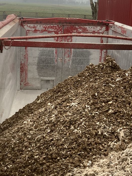 Pomiot kurzy ( od kur niosek )