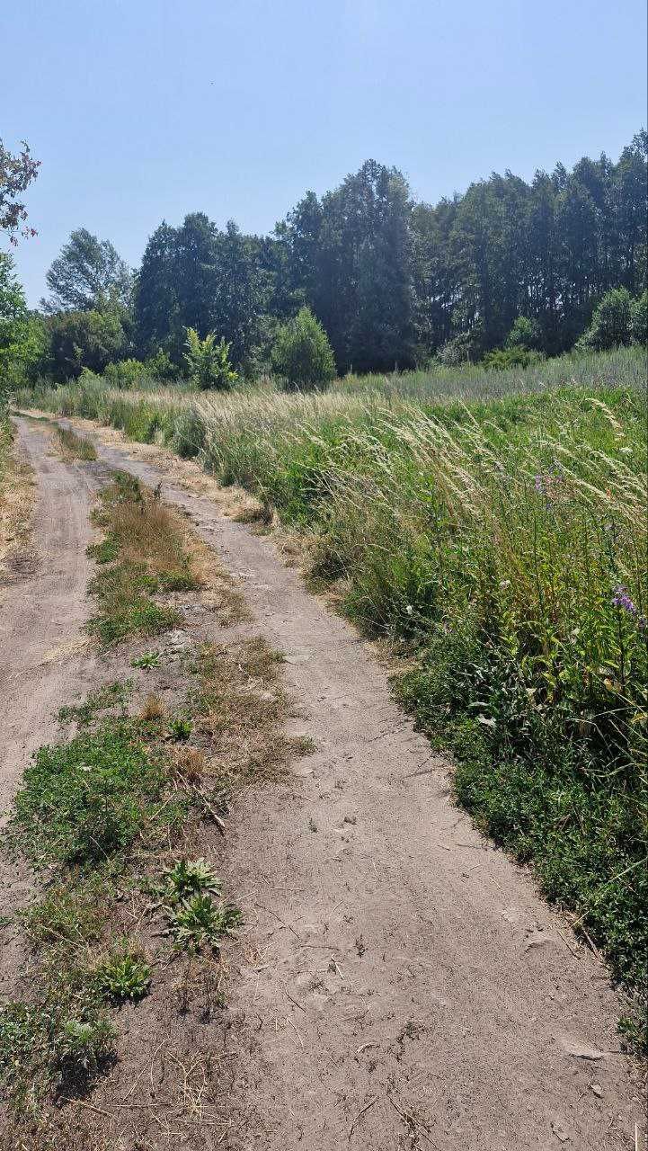 Земельна ділянка в Дахновці