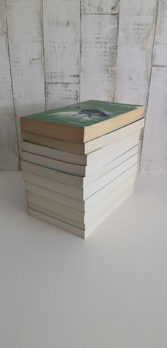 Literatura w spódnicy - Pakiet 10 książek.