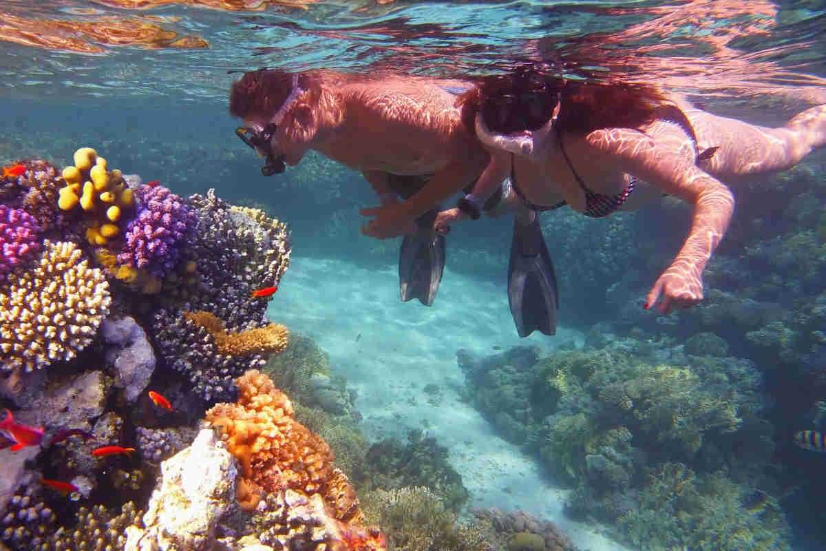 Dois Conjuntos Mergulho Snorkeling "Tribor" : barbatanas, tubo e saco