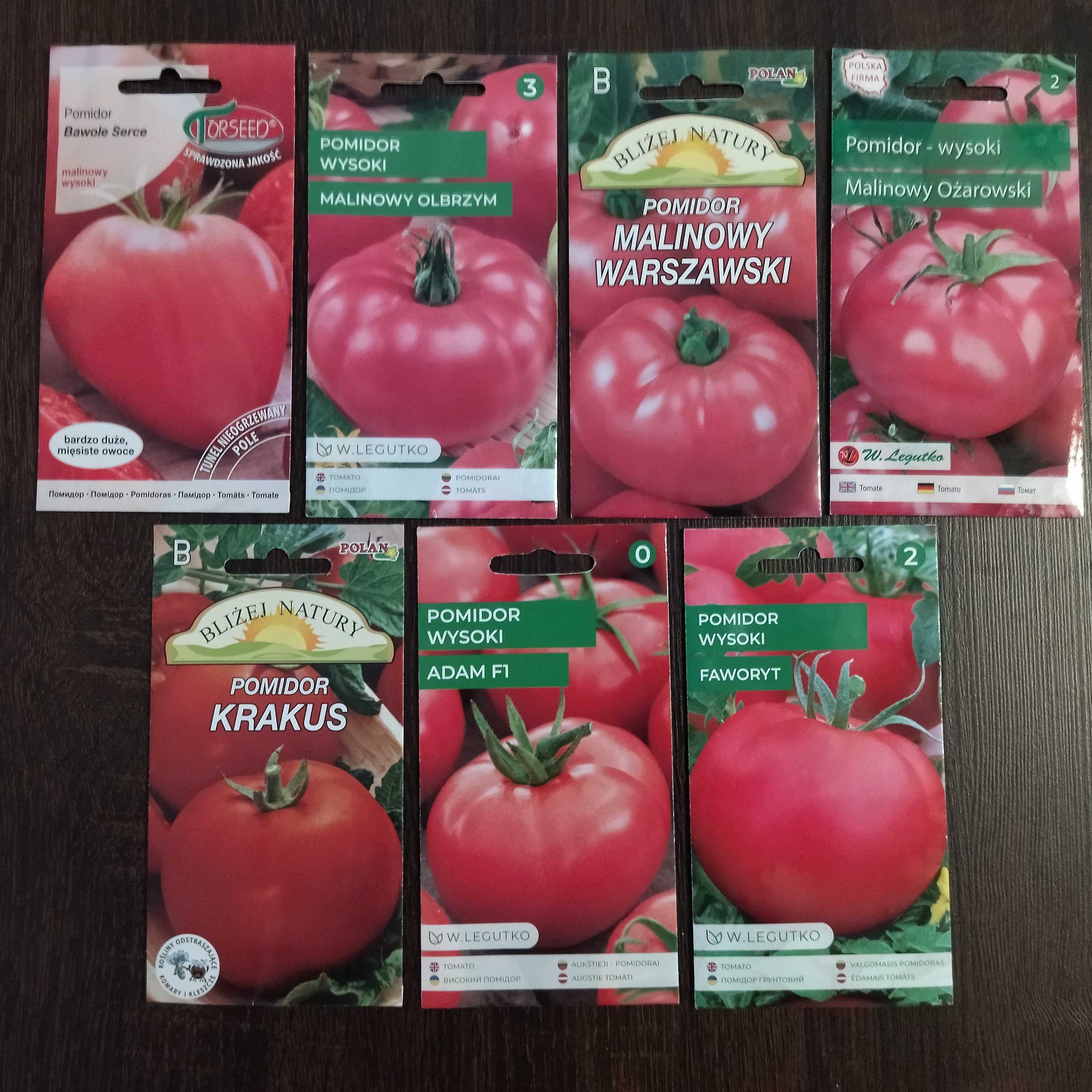 Pomidory sadzonki flance