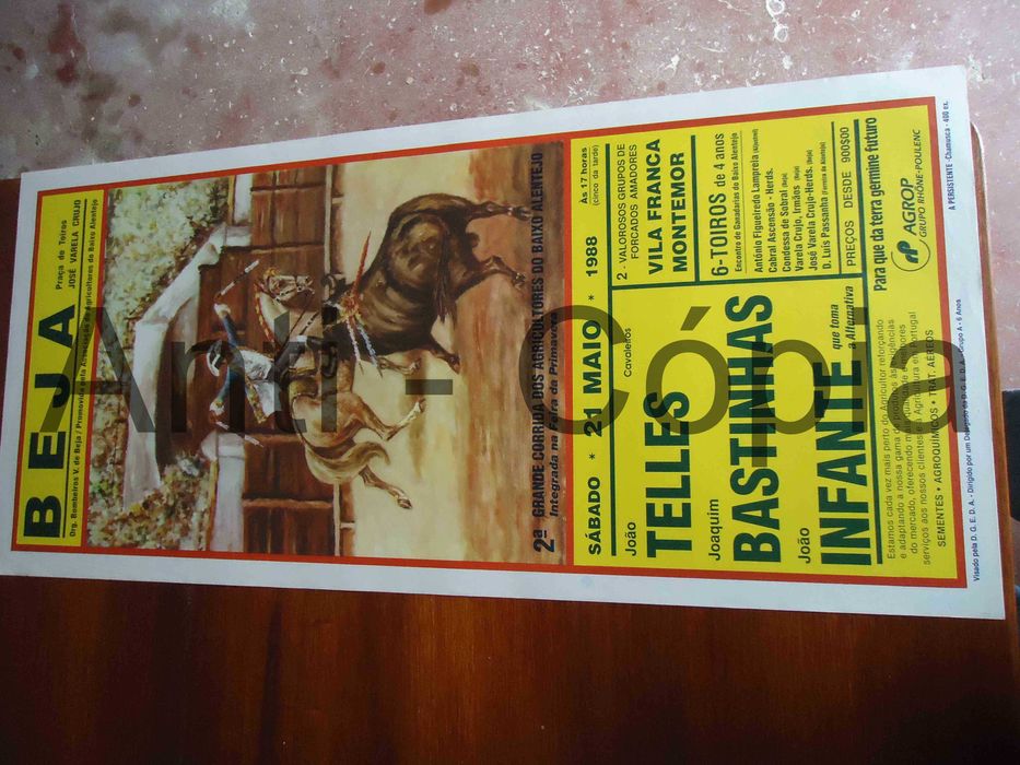 Toiros - Cartazes de Montra 1