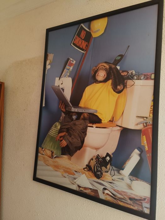 Vendo quadro do macaco