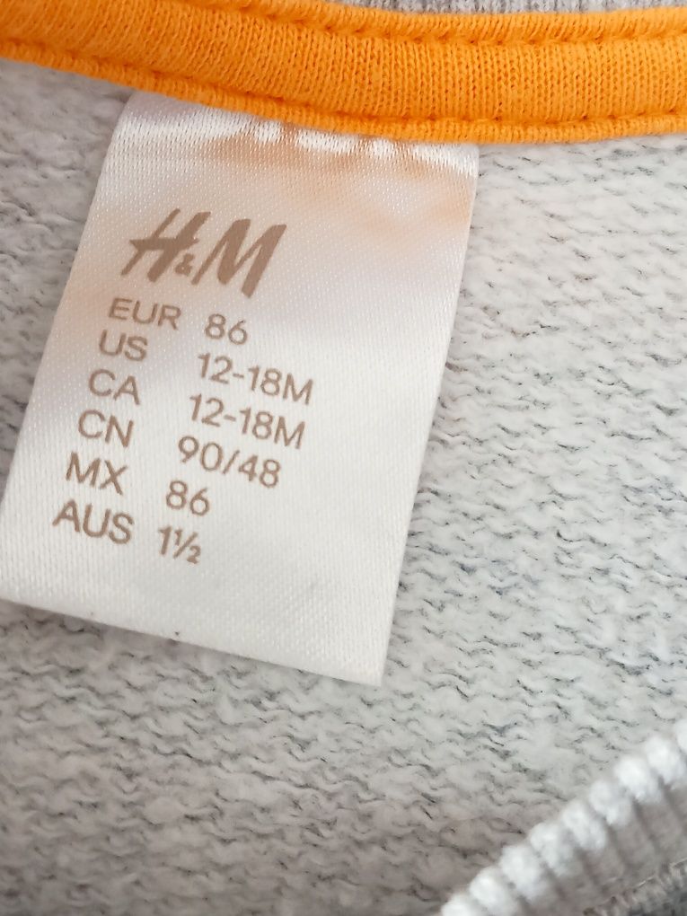 Bluza h&m 12 18 zwierzęta safari słoń tygrys zebra 86 wiosenna