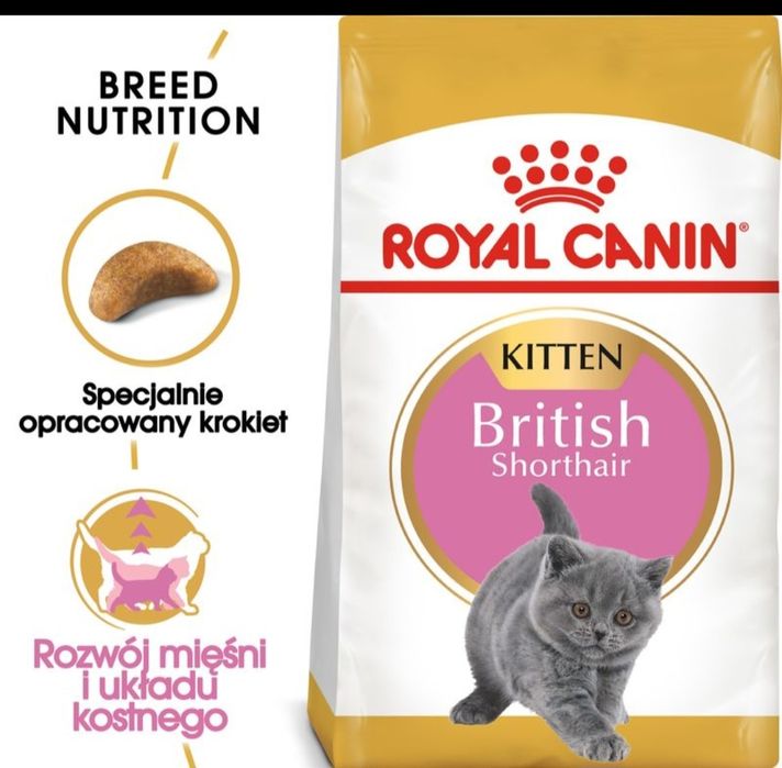 Royal Canin Kitten British Shorthair 4kg