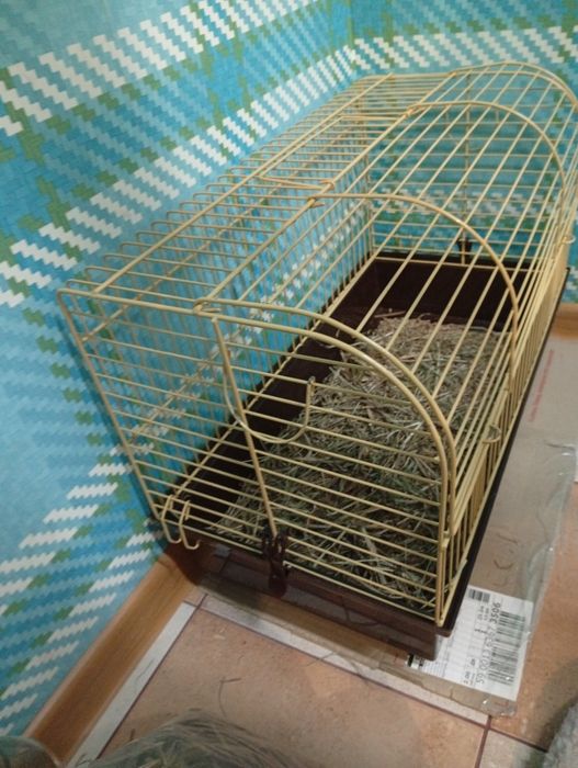 Клітка для гризунів
