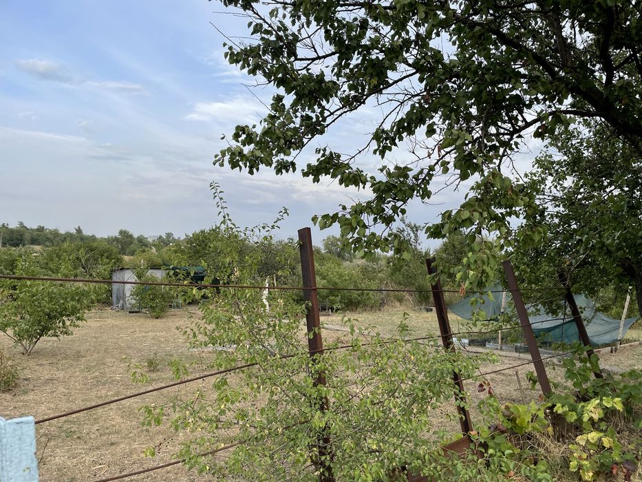 Срочно!!!Дача біля Заречного  в коперативі «Медика»  (світло та вода )