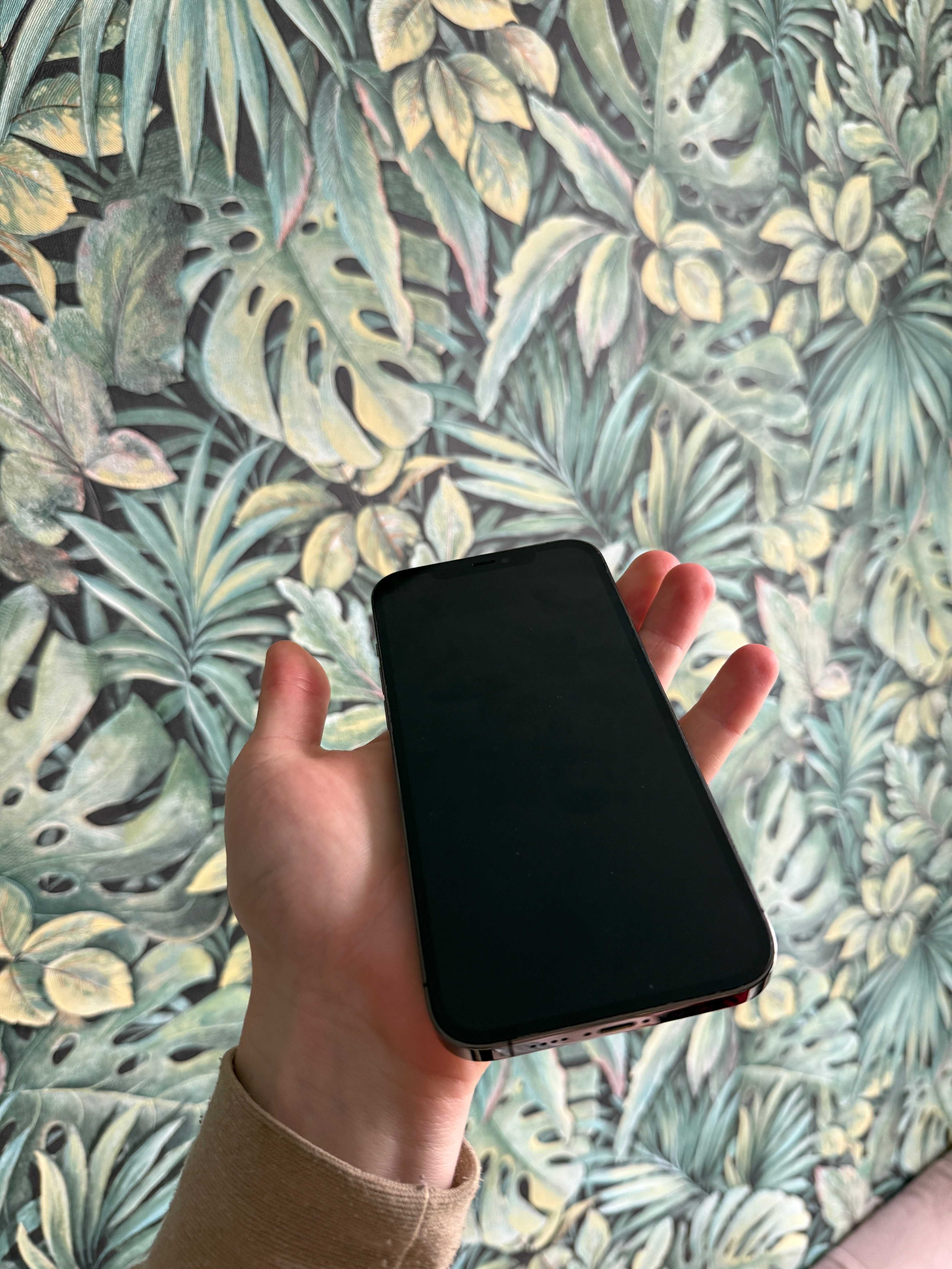iPhone 12 Pro Max 256Gb Neverlock 12Про Макс 256GB TRADE-IN