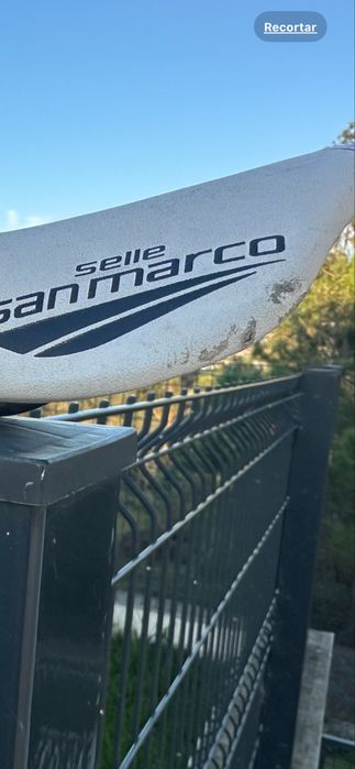 Selim selle san marco shortfit