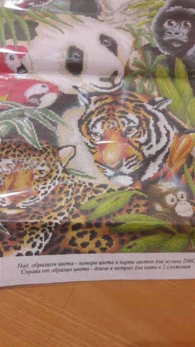 Канва с нанесённым рисунком