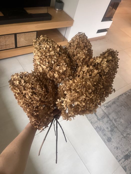 Suszone hortensje XL dekoracja kwiatowa