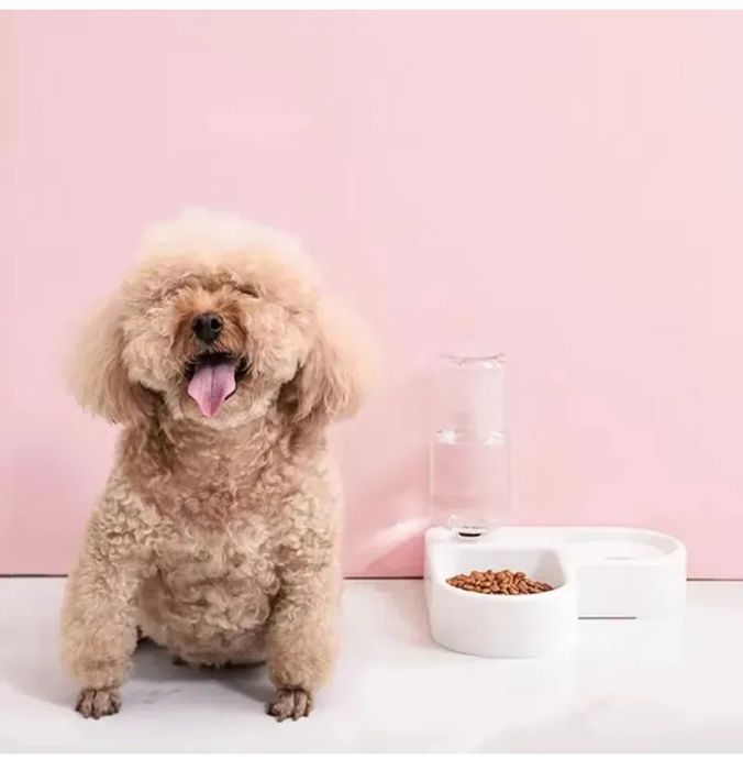 Кутова миска для котів та собак з автоматичною напувалкою · Годівниця