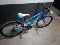 Bicicleta Junior Berg