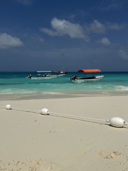 Занзибар. Организация индивидуальных туров на Занзибар ( Танзания )