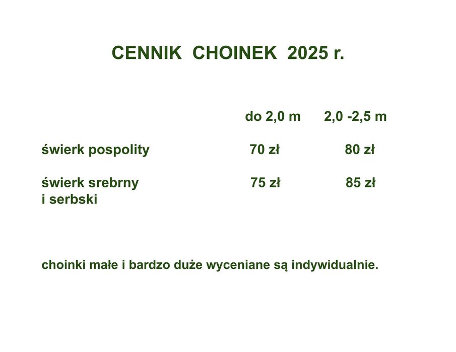 Choinki - Świerk Srebrny oraz Świerk Pospolity Formowany