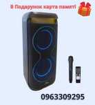 Портативная аккумуляторная колонка ZPX ZX7791, 2×8", 800 Вт6 + подарок