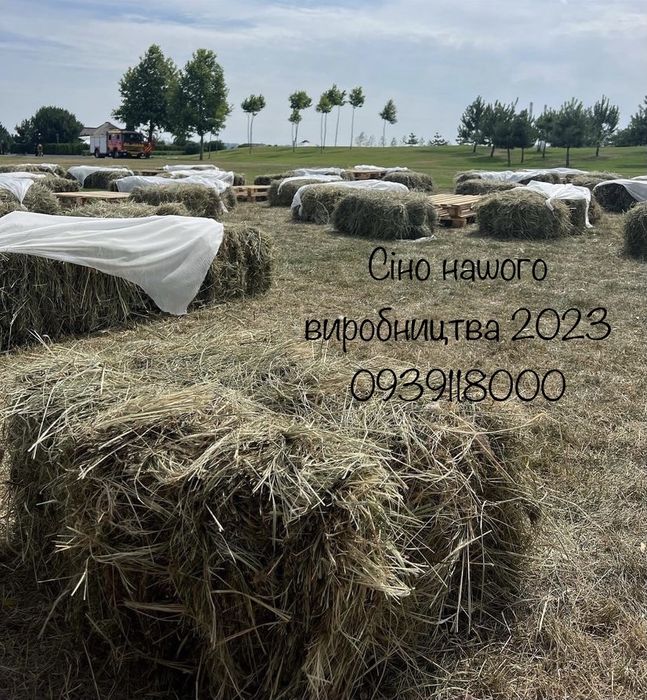 Сено 2025 Солома ячменя Левый берег Разнотравье луговое