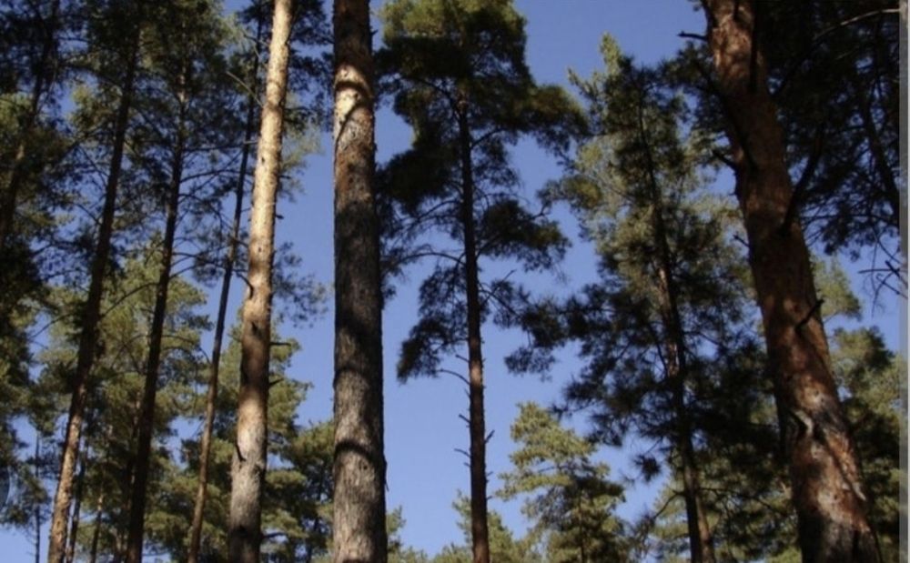 ЦЕНТР! МІСТО ІРПІНЬ Оренда євро-2х кім квартири 53м2