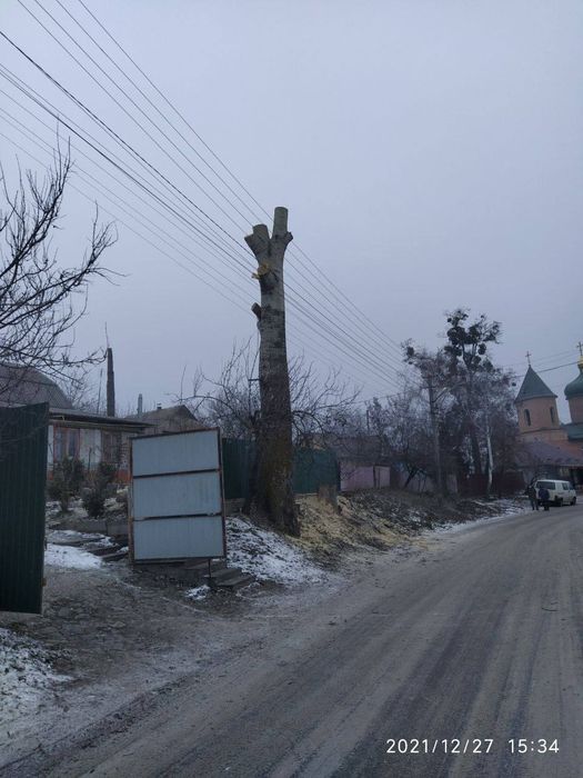 Обрезка деревьев весною. Спил, чистка  дерев. Корчування.Кронування.
