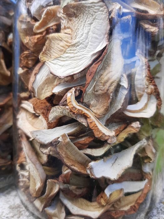 Grzyby suszone prawdziwki