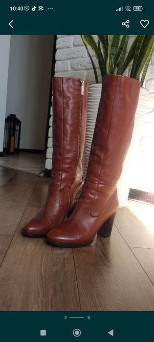 Чоботи жіночі демосезон