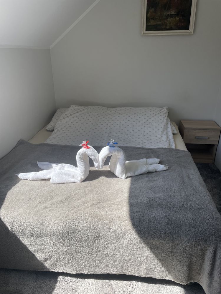 Agroturystyka nad stawami sauna i jacuzzi
