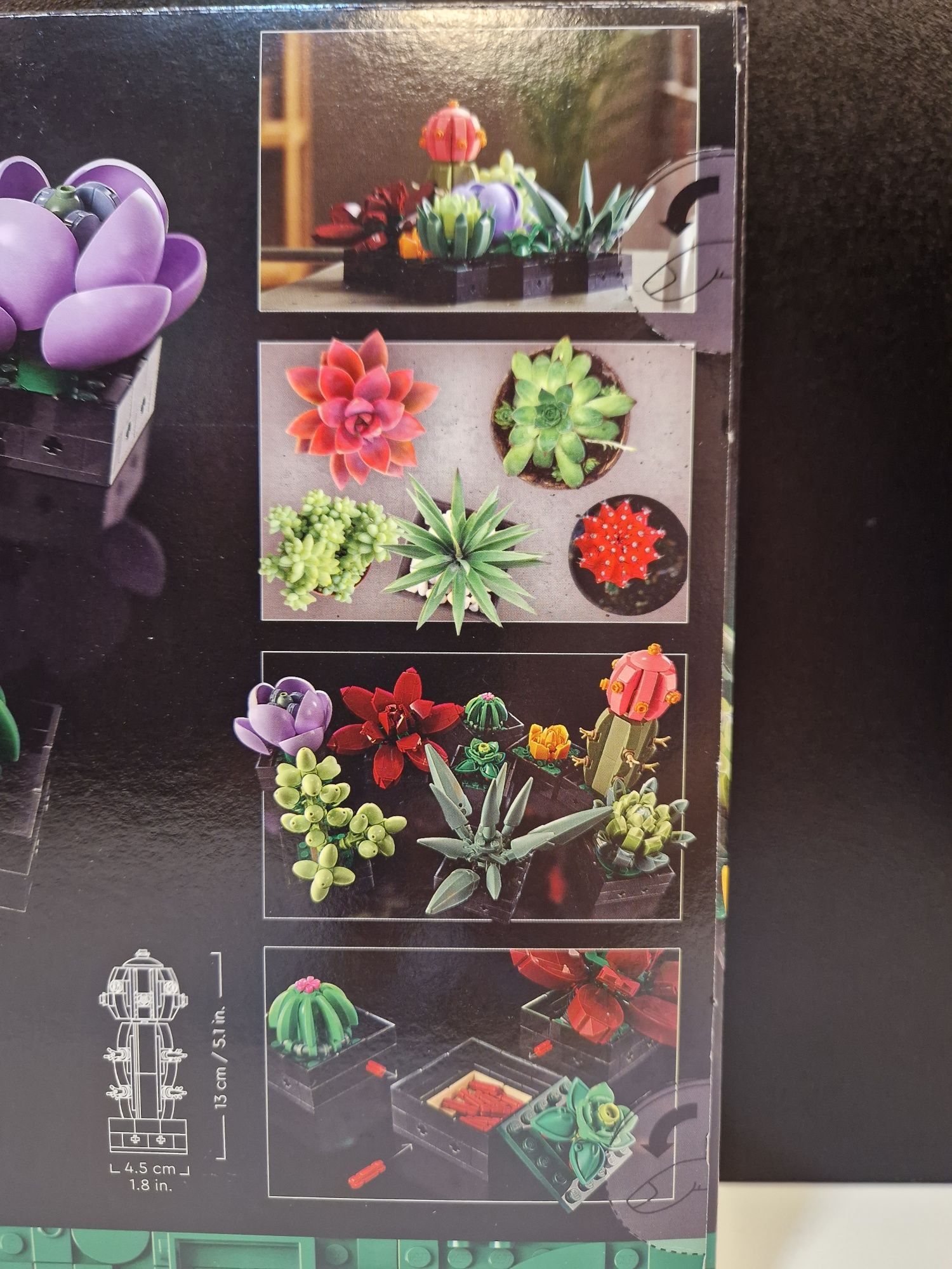 LEGO Creator Expert 10309 Sukulenty