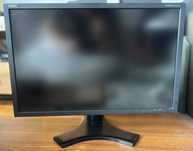 Monitor NEC MultiSync P221W 22"