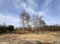 Działka w Niemczu - 1017 m2