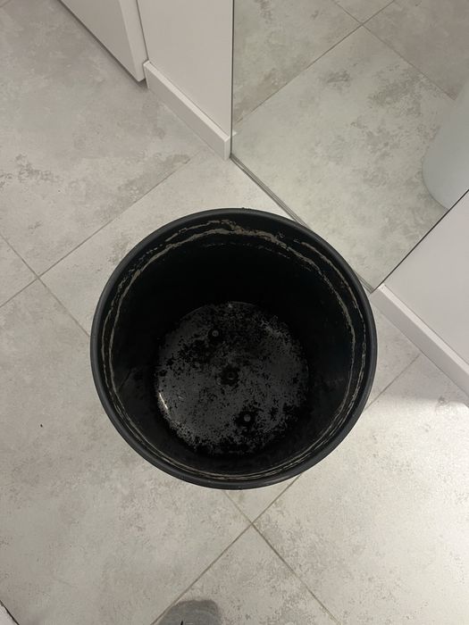 Biała donica z wkładem