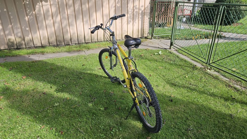 Rower Giant  Rama 17