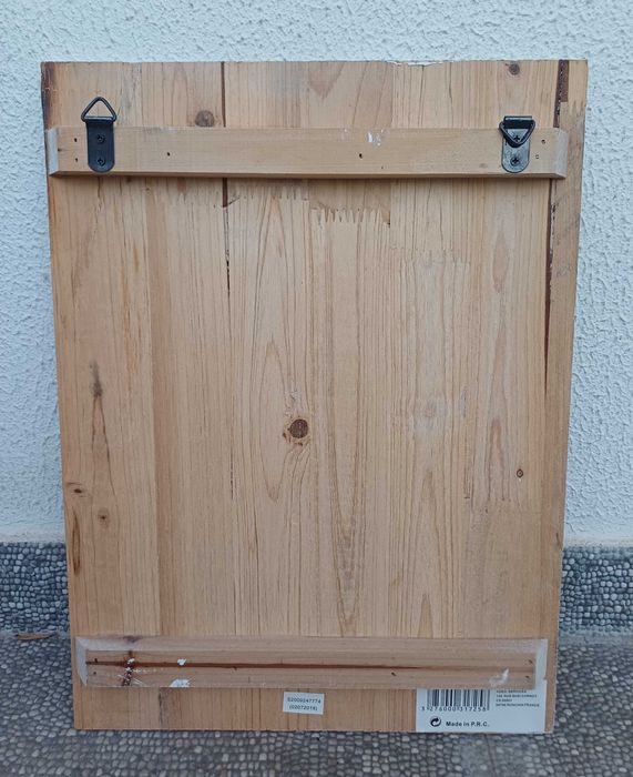 Quadro em madeira com cato