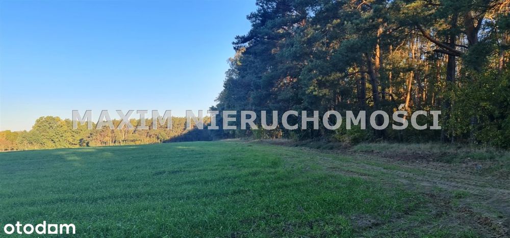 Piękne działki w miejscowości Zaręby gm. Zakroczym