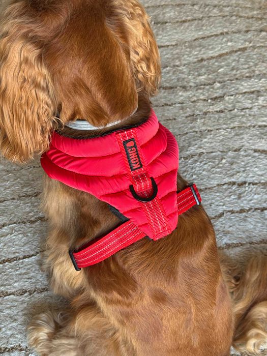 (NOVO) Peitoral KONG vermelho para cão